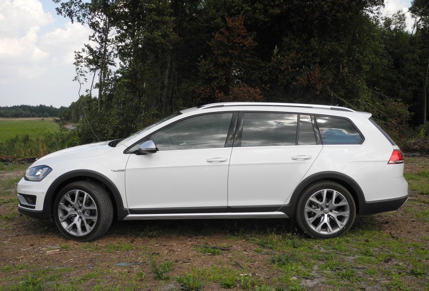 Volkswagen Golf Alltrack / Fot. Wojciech Frelichowski