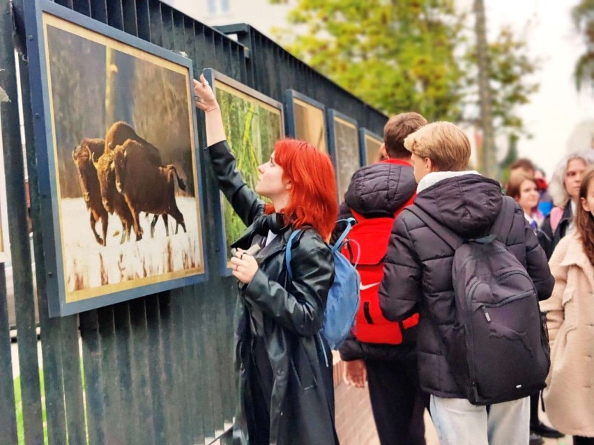 Galeria na płocie przy Fabrycznej gości fotografie...