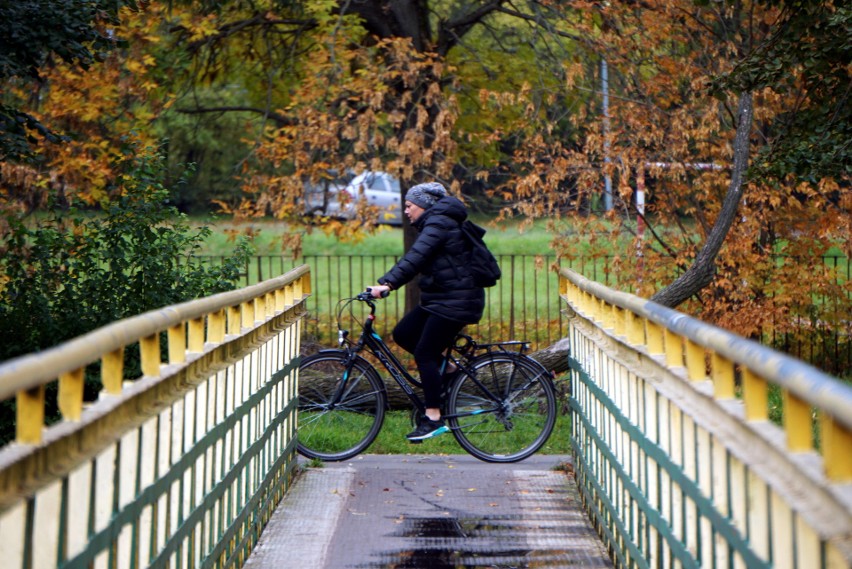 Park Ludowy w Lublinie w jesiennej odsłonie. Usłane kolorowymi liśćmi alejki zachwycają! Zobacz zdjęcia