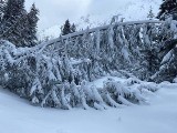 Tatry. Pługi wjadą na drogę do Morskiego Oka. Będzie próba udrożnienia przejścia przez lawinisko 