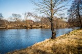 Deweloperzy chcą mieszkaniówki, urbaniści z miasta - bulwarów. Wielka batalia o tereny nad Brdą w Bydgoszczy