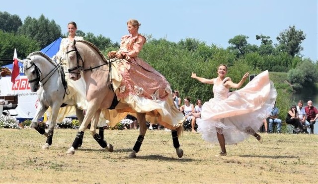 Pokaz Teatru Konnego "Cabriola" w Błoniach Nadwiślańskich w Grudziądzu