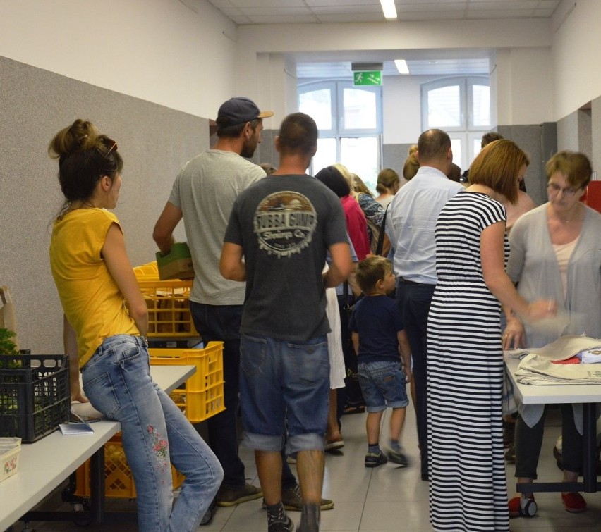 Takich borówek nie ma nikt. Kooperatywni w Bytowie. Kupisz świeże, zdrowe i ekologiczne produkty (zdjęcia)