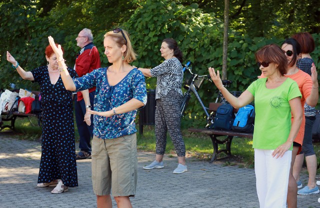 Tai chi można ćwiczyć w parku Źródliska przy altanie.