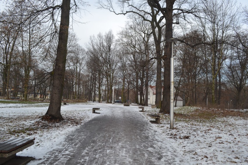 Park Zamkowy w Mysłowicach zimą. Miejsce, które powinno być...