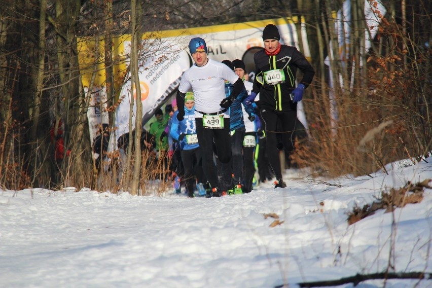 City Trail 2017 Katowice