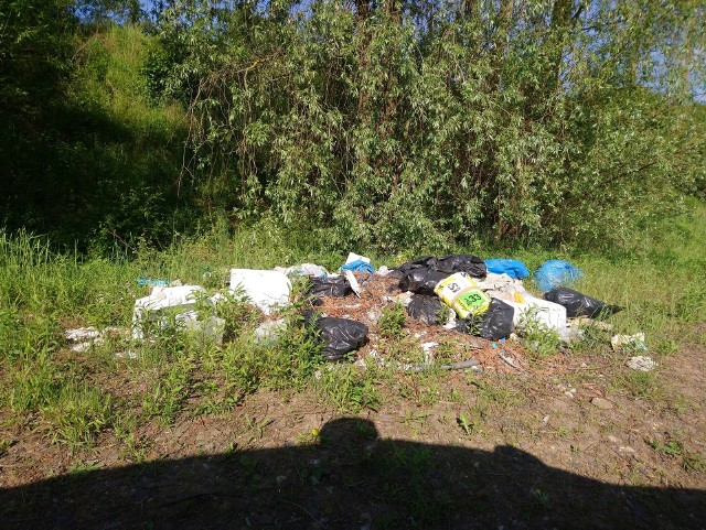 Nielegalne wysypisko śmieci na Naramowicach