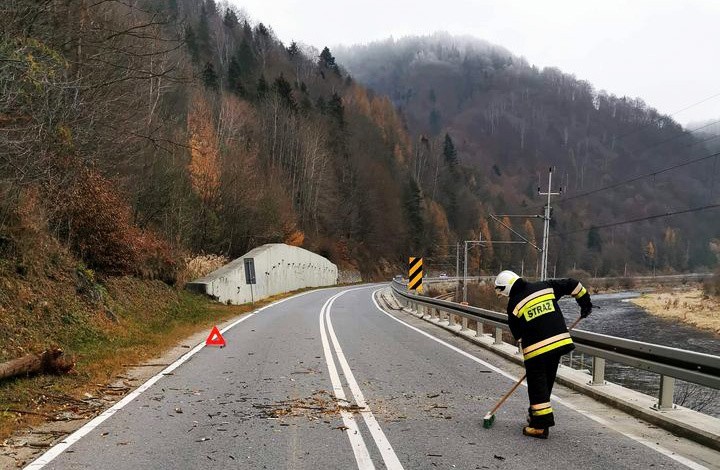 Na drodze w dolinie Popradu drzewo spado na jadący samochód [ZDJĘCIA]