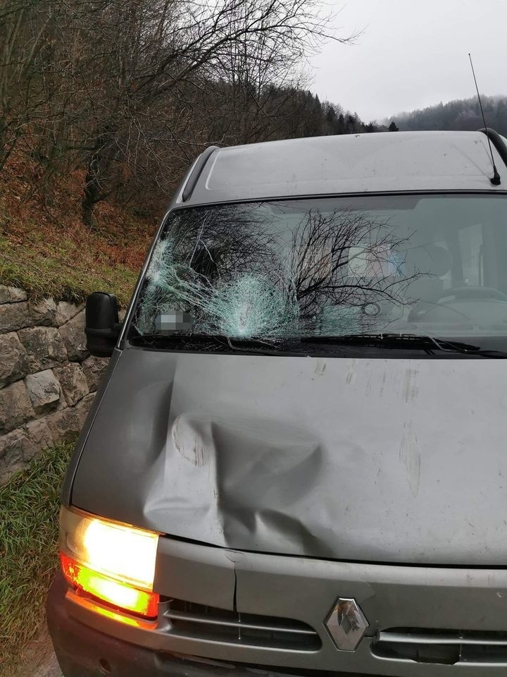 Na drodze w dolinie Popradu drzewo spado na jadący samochód [ZDJĘCIA]