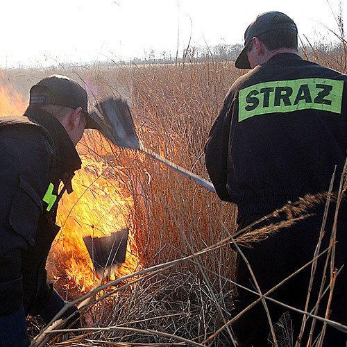 Strażacy gaszą trawy przy ul. Krzywoustego w Kołobrzegu. 