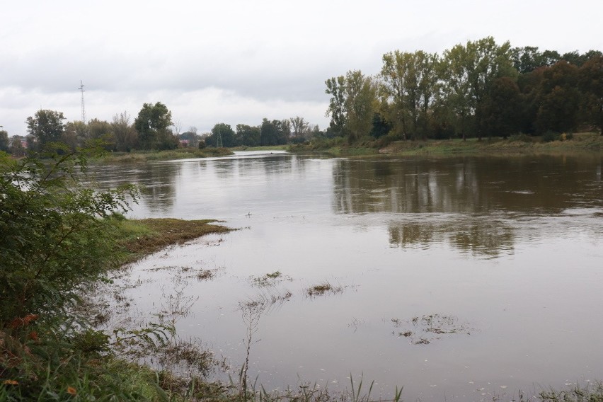 Woda w Odrze w Krośnie Odrzańskim mocno się podniosła w...