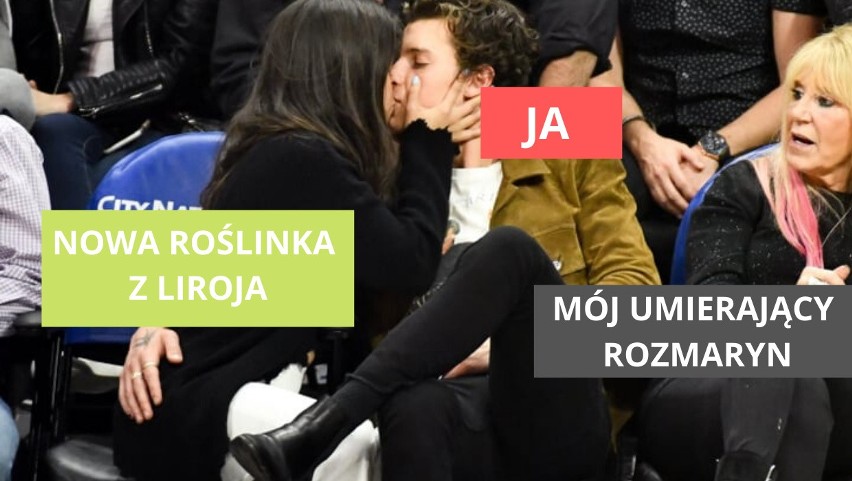 Kochasz ogrodnictwo? Podlewasz rośliny łzami? Te MEMY są o tobie