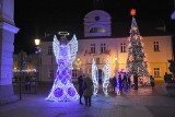 Wspaniałe iluminacje świąteczne w Żarach! Mieszkańcy tłumnie odwiedzają rynek i robią zdjęcia przy ogromnej choince