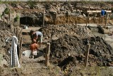 Inowrocławskim archeologom udało się przebadać fragment średniowiecznej fosy miejskiej [zdjęcia]  