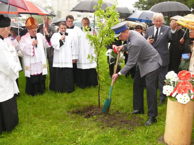 Ziemię pod dąb pamięci sypie Lucjan Maczkowski, zastępca komendanta stalowowolskiej policji.