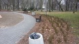 Park w Sosnowcu za urzędem zmienia się bardzo powoli ZDJĘCIA