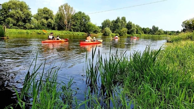 17 lipca nurty Pilicy zagęściły się barwnymi i radosnymi kajakarzami.700 kajaków ruszyło w wodną trasę z okazji 700- lecia Warki.