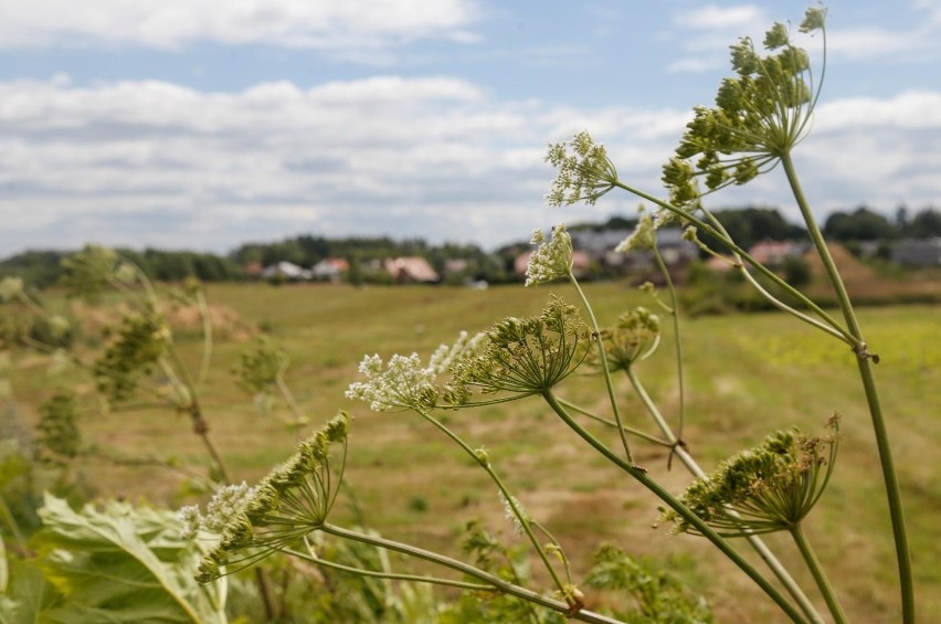 Co najmniej kilkadziesiąt punktów liczy pomorska mapa...