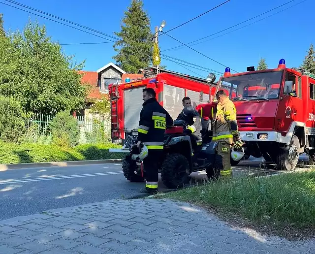 Wypadek na drodze wojewódzkiej w Cianowicach