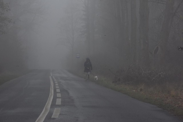 IMGW prognozuje wystąpienie słabych opadów marznącego deszczu lub marznącej mżawki powodujących gołoledź. Prognozuje się wystąpienie na przeważającym obszarze mgły ograniczającej widzialność do 200 m.