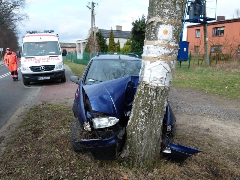 Wypadek w Tuszynie-Lesie. Auto uderzyło w drzewo