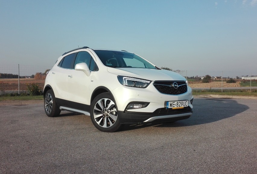 Opl Mokka X. Fot. Wojciech Frelichowski