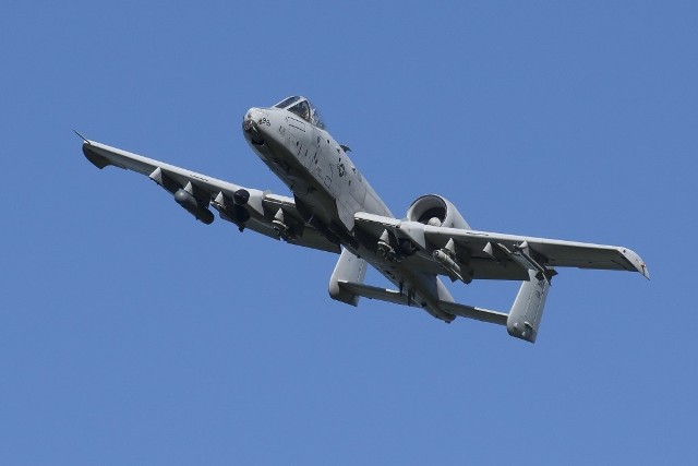 Amerykański samolot A-10 Thunderbolt II, zwany też Warthog czyli Guziec.