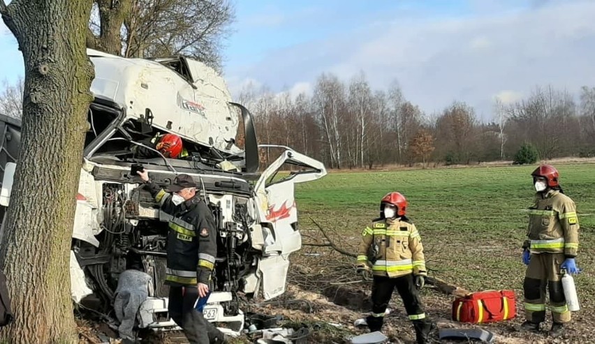 Śmiertelny wypadek w Zgierzu. Kierowca tira wypadł z kabiny i uderzył w drzewo ZDJĘCIA