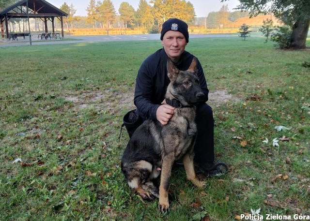 W zielonogórskiej policji służbę rozpoczęły trzy nowe psy. To dwa owczarki holenderskie i jeden niemiecki