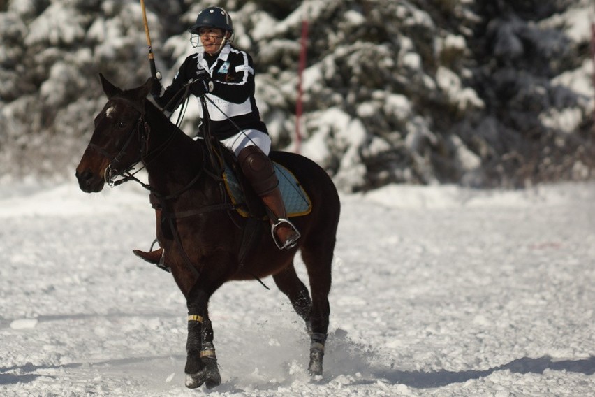 Bukovina Polo Snow Masters, czyli widowiskowe rozgrywki na śniegu [ZDJĘCIA]