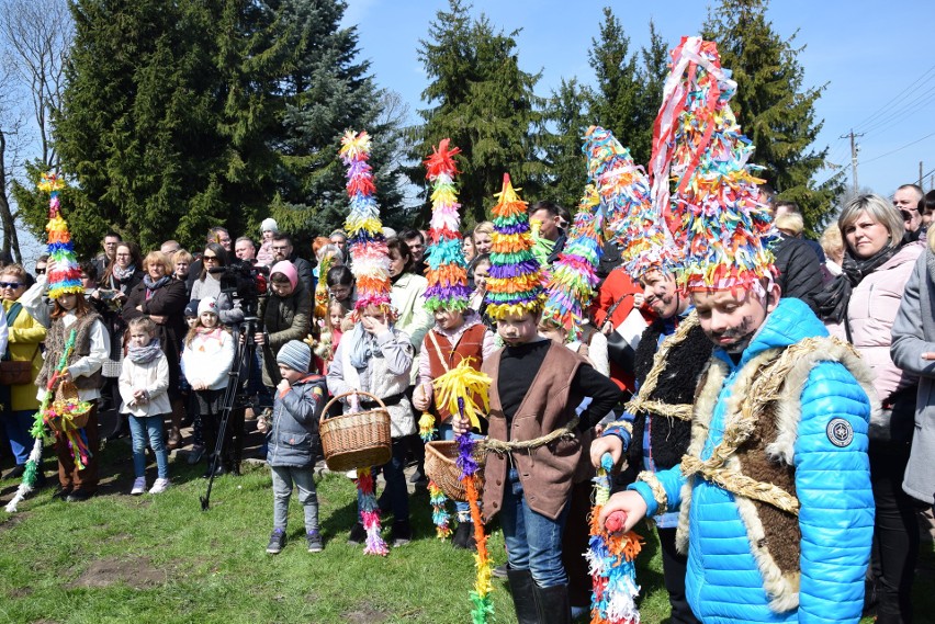 Pucheroki po bibickich domach chodzą co roku, ale konkursów...