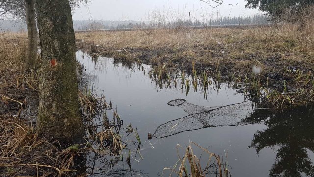 Kłusownik został przyłapany do gorącym uczynku. Teraz grożą mu nawet dwa lata więzienia.