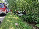 Brzeźnica. Kierowca BMW wjechał pod Tarnowem do rowu i uciekł przed policjantami... do lasu. Okazało się, że był kompletnie pijany