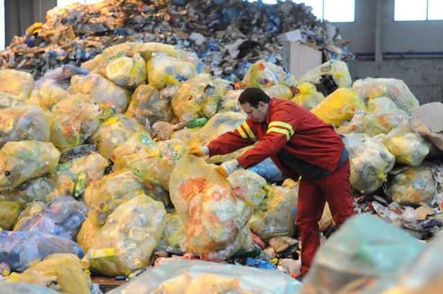 Śmieci z Zielonej Góry wywożone są na wysypisko do Raculi, na którym pracuje Krzysztof Ludwicki