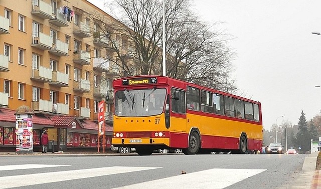 Autobusy tarnobrzeskiego MKS wozić będą pasażerów na Opolszczyźnie.