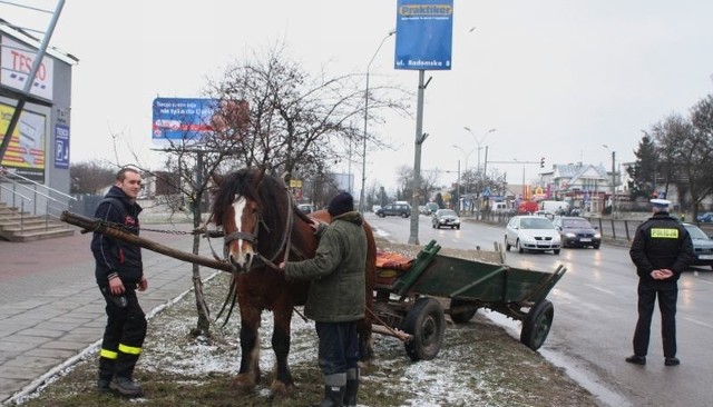 Woźnica zatrzymany przez policję miał we krwi półtora promila alkoholu.