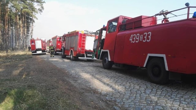 Ponad setka strażaków z całego regionu gasiła pożar w okolicy Sowna.