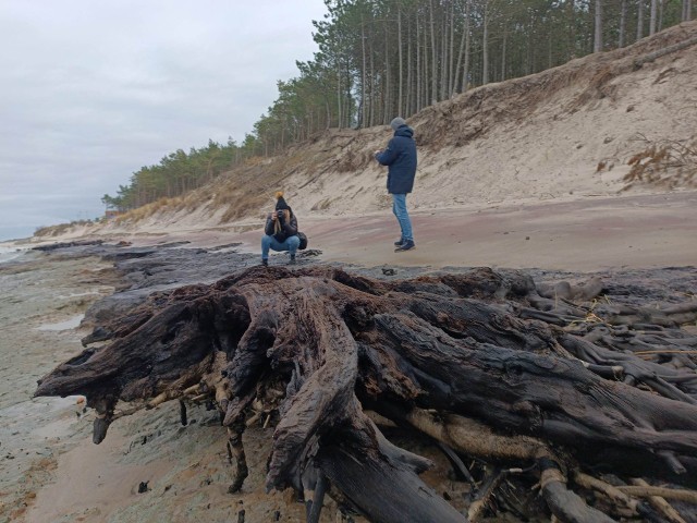 Plaża w Łazach po sztormie