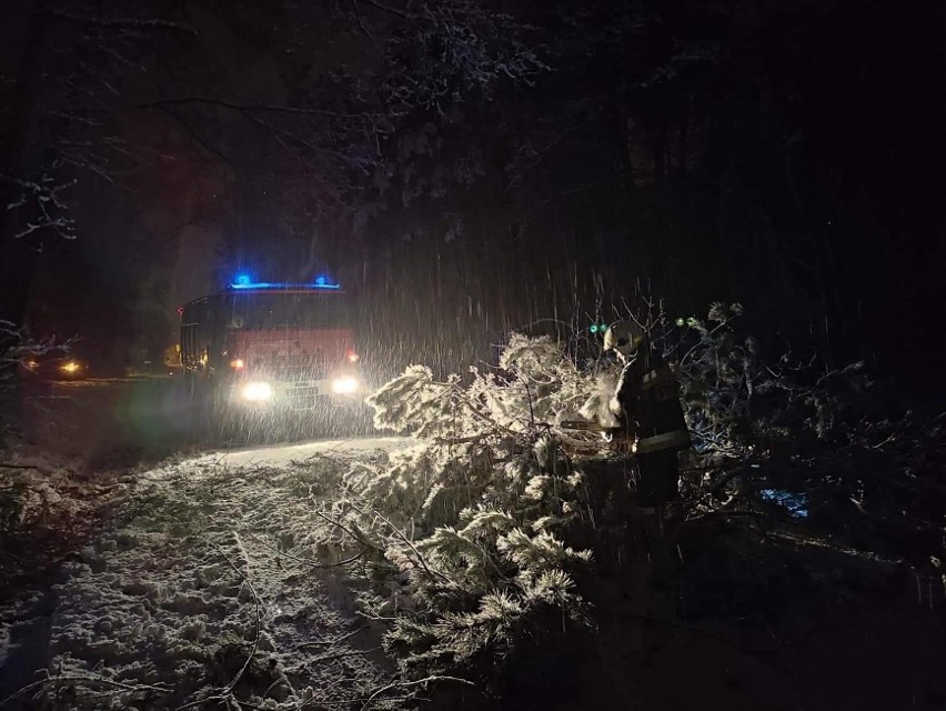 Pracowita noc strażaków. W całym powiecie ostrowieckim usuwali powalone przez śnieg drzewa (ZDJĘCIA)