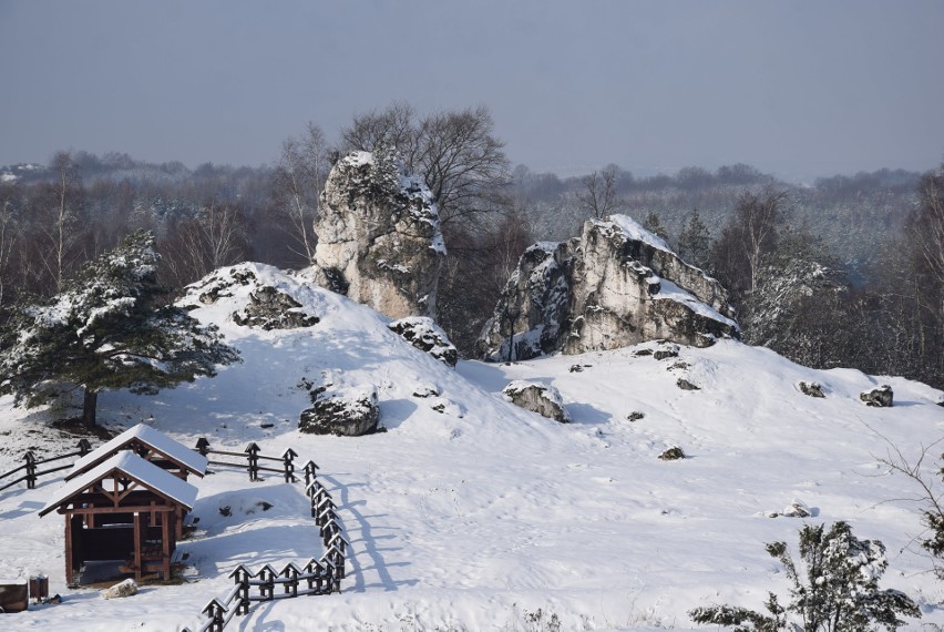 Bajkowa zima na Jurze Krakowsko-Częstochowskiej ZDJĘCIA