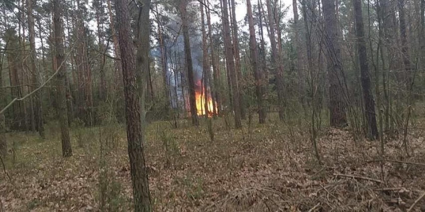 Stoczek: Katastrofa samolotu wojskowego na Mazowszu [ZDJĘCIA] MIG-29 rozbił się w lesie pod Węgrowem. Jest nagranie [WIDEO]