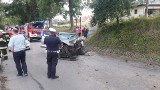 Pijany kierowca spowodował wypadek. Rzesze ratowników pospieszyły na pomoc