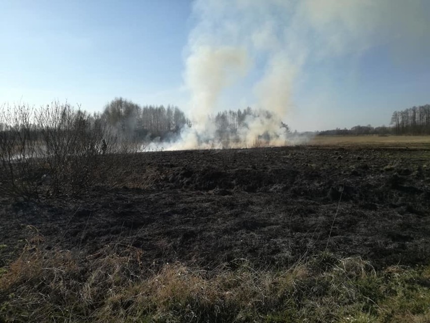 Strażacy z Borkowic i Przysuchy gasili pożary traw i nieużytków nawet w czasie świąt wielkanocnych