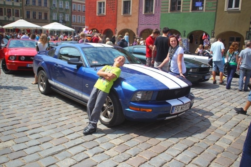 Fordy Mustangi na Starym Rynku
