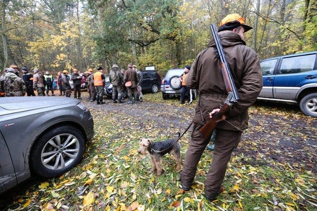 Myśliwy zastrzelił myśliwego w Wólce Jagielczyńskiej po zakończeniu przez myśliwych polowania. Prokuratura wyjaśnia jak doszło do tragedii na polowaniu w środę 11 września.