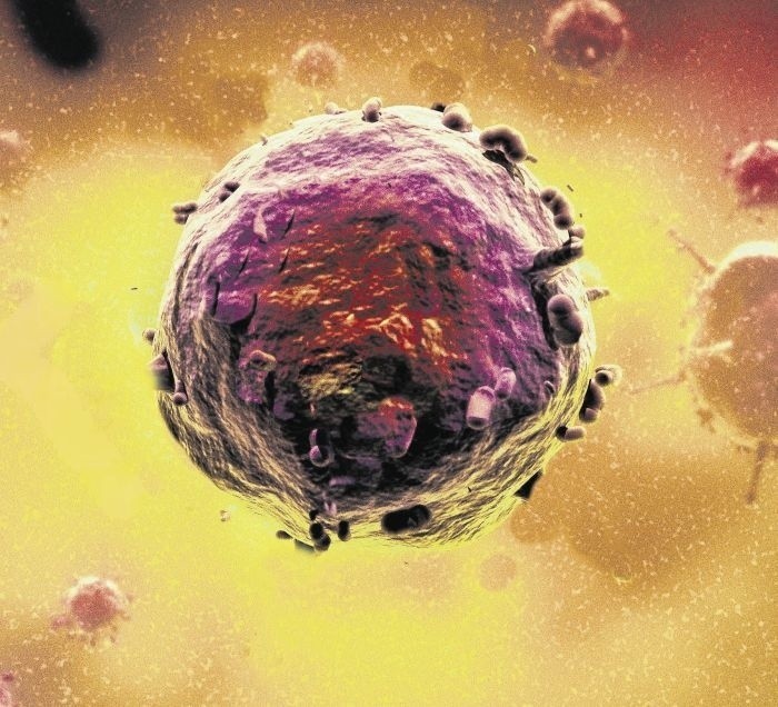 Terapia komórkami macierzystymi budzi nadzieje. Niektóre...