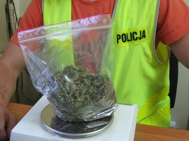 Policjanci zabezpieczyli blisko 550 gramów marihuany.