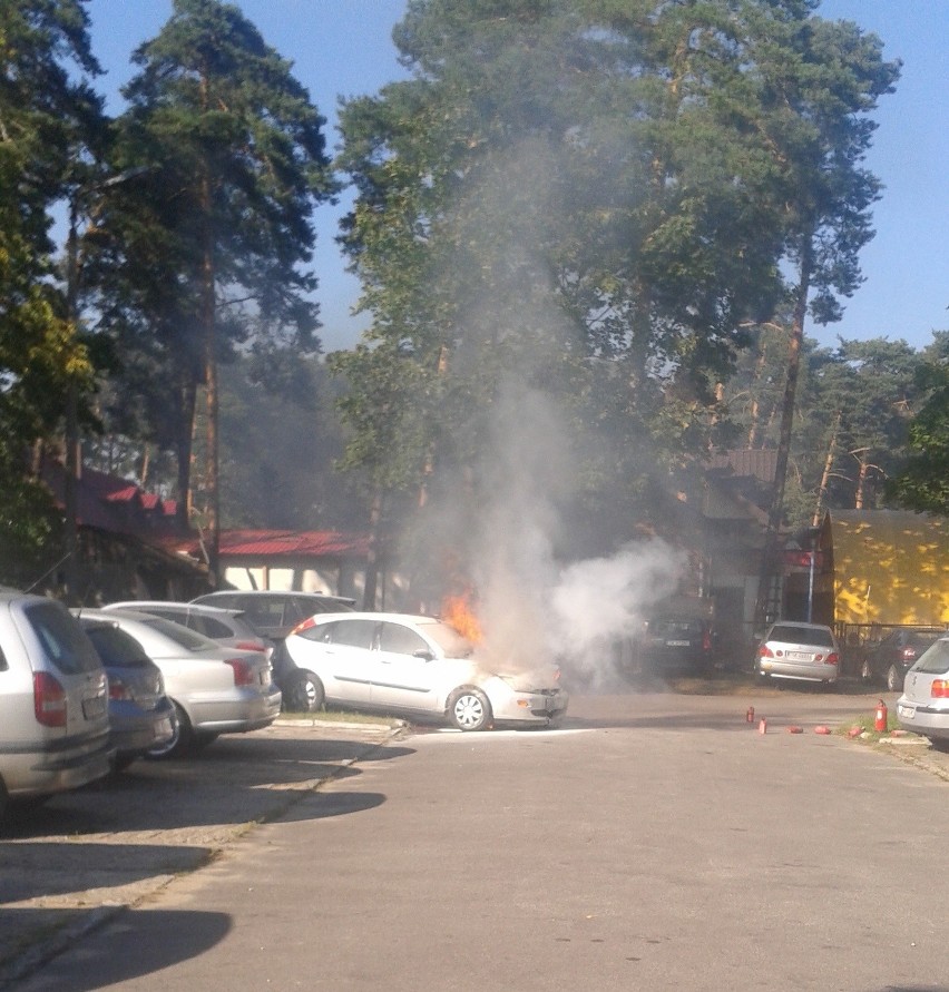 Pożar forda na parkingu w Sielpi