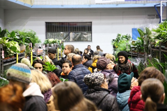 Festiwal Roślin w hali widowiskowo-sportowej w Kielcach przyciągnął tłumy miłośników kwiatów. Doniczki były rozchwytywane. Zobacz kolejne zdjęcia>>>