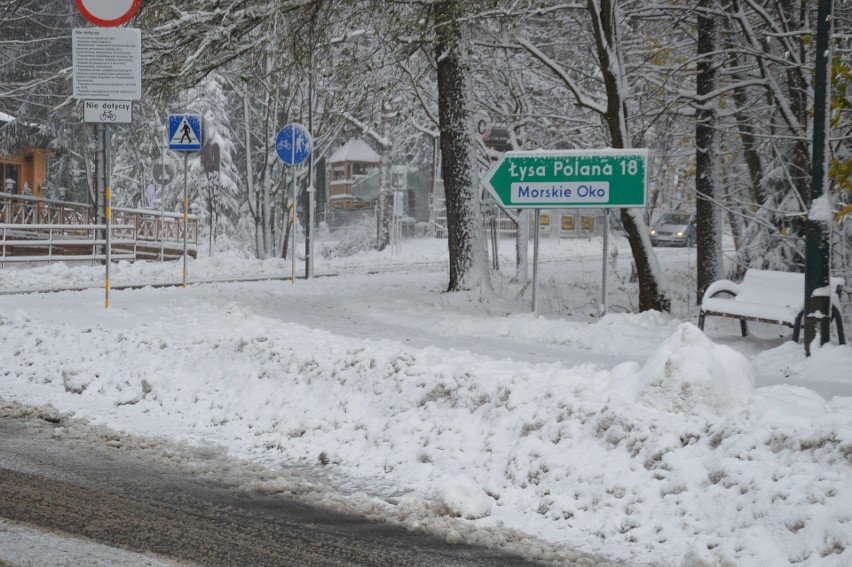 Atak zimy na Podhalu, spadło kilka centymetrów śniegu [ZDJĘCIA]